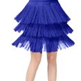 thumbnail image 1 of Robes pour Filles 2025 Robe de Danse à Franges pour Enfants Robe d'Anniversaire Garçon Robe de Bal Latine Ajustée et Évasée Robe à Franges pour Danse Robe Simple à Manches Longues Robe de Premier Anniversaire pour Bébé, 1 of 4