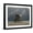 Black Frame, variant on Art.com Elephant And Dog Sit Under The Rain Photographic Print by Mike_Kiev, 32" x 24"