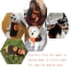 thumbnail image 2 of Suéter para perros Suéteres para mascotas de calabaza Fiesta navideña de Halloween para gatos y cachorros Ropa de peluche para perros pequeños y medianos (M), 2 of 5