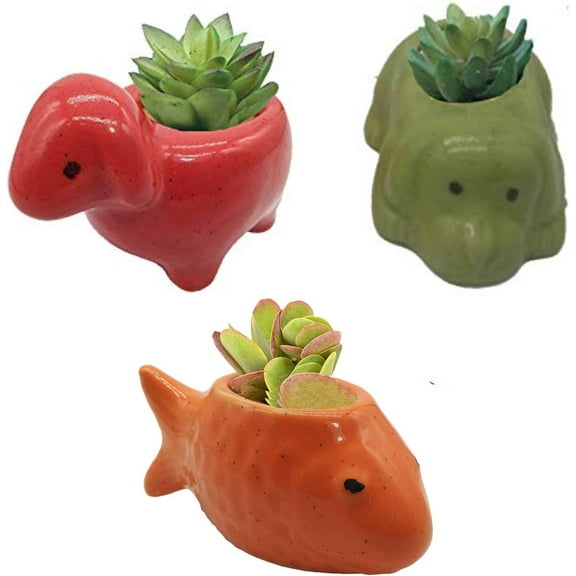 India Meets India Ceramic Flower Pot Planter Plant Pot Indoor Planter Handicraft by Awarded Indian Artisan (Fish, Dog and Sheep (Set of 3))