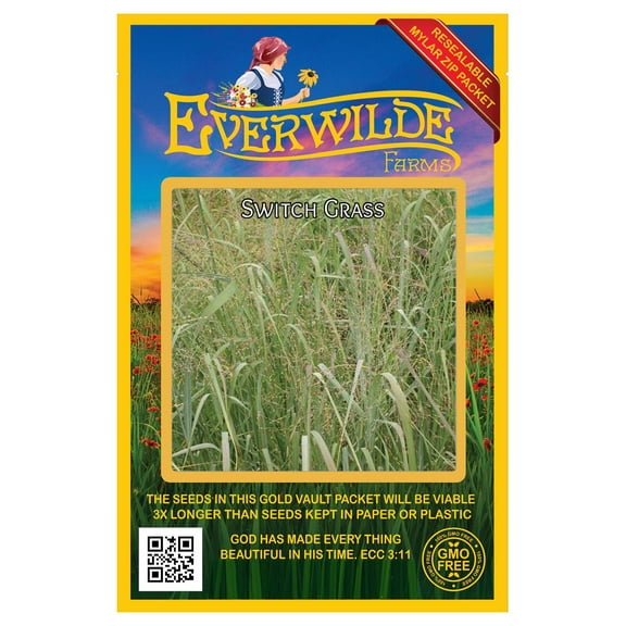 Everwilde Farms - 1000 Switch Grass Native Grass Seeds - Gold Vault Jumbo Bulk Seed Packet