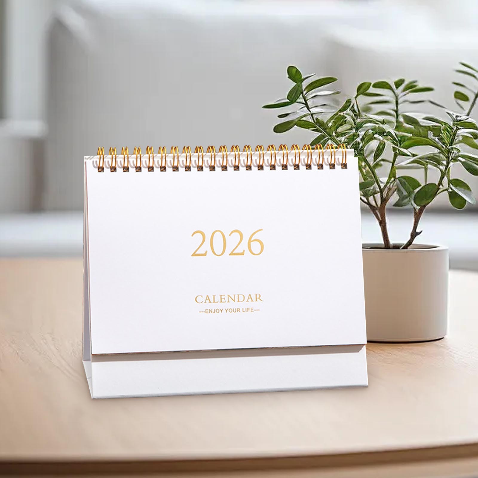Calendrier De Bureau 2025 Debout - Mini Planificateur Mensuel Juillet 2025 à Décembre 2026, Format 20,5x20,5 Cm, Décor Bureau Maison École