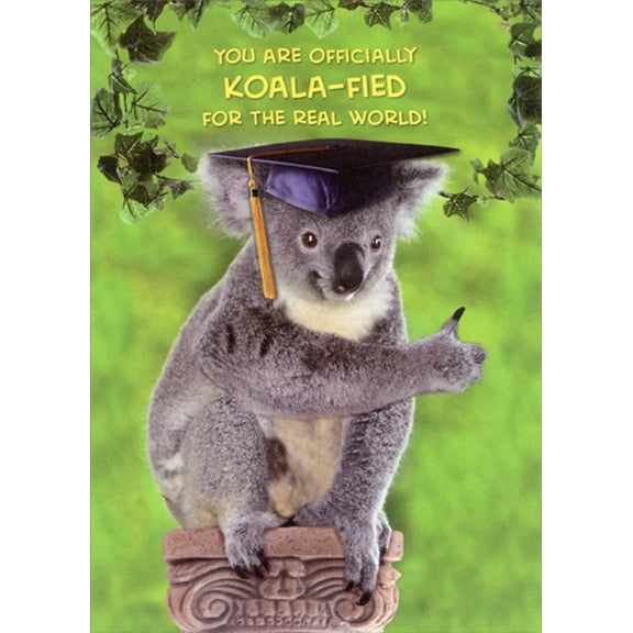 Designer Greetings Koala-fied For The Real World Funny / Humorous Graduation Congratulations Card