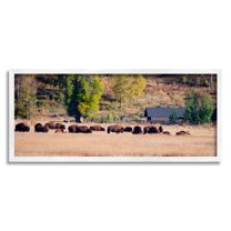 Stupell Rural Bison Wildlife Pasture Animals & Insects Photography White Framed Art Print Wall Art