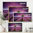 thumbnail image 4 of Designart 'Tree With Stunning Lavender Field Summer Sunset' Farmhouse Framed Canvas Wall Art Print, 4 of 5