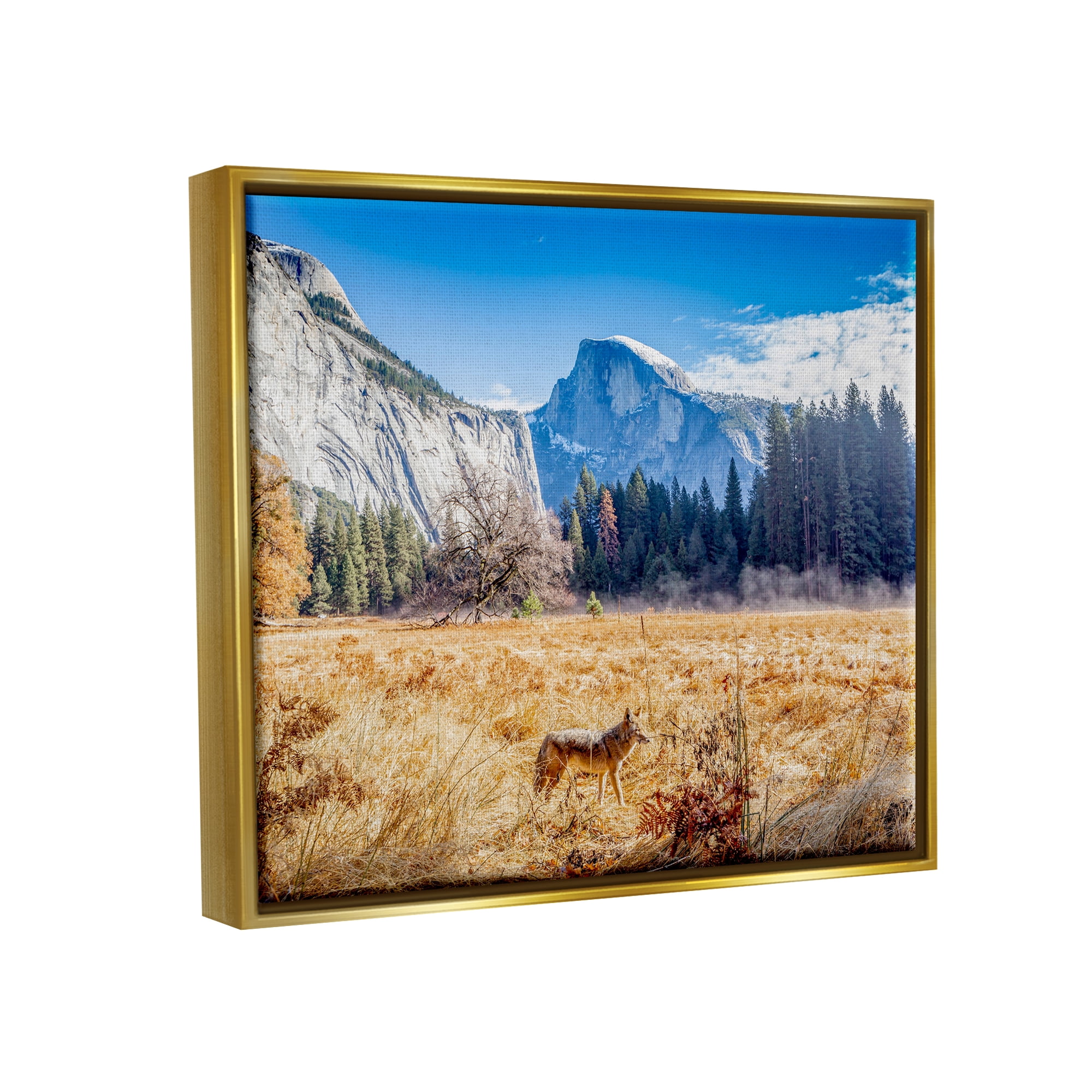 Stupell Industries Wolf Grazing Rural Grassland Clear Sky Mountains Photograph Metallic Gold Floating Framed Canvas Print Wall Art, Design by Jeff Poe Photography