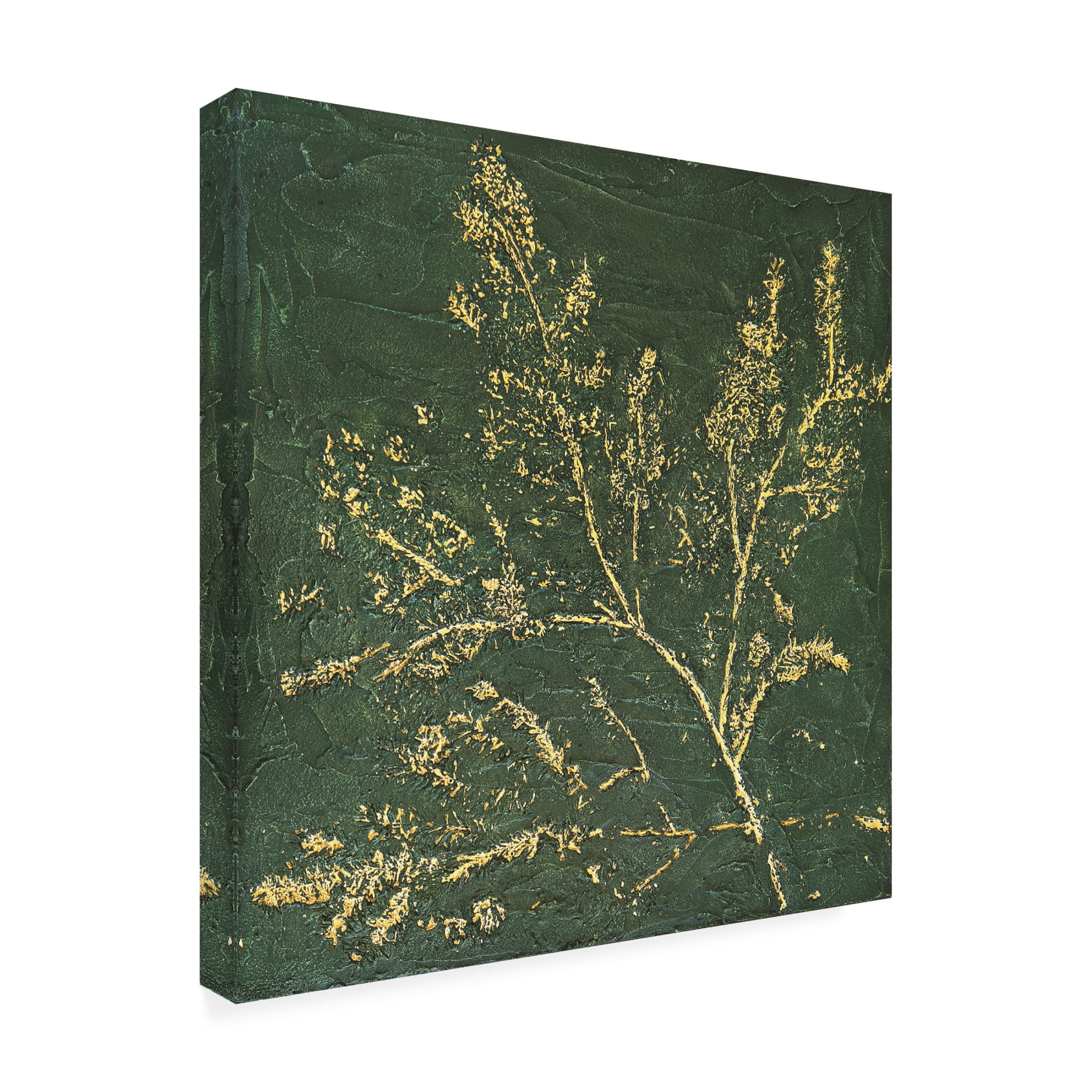 Trademark Fine Art Alyson Storms  Deep In the Forest Canvas Wall Art