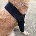 thumbnail image 1 of Codera para perros para hombros, patas delanteras, dislocaciones, úlceras por presión, lesiones, artritis, pérdida de estabilidad (L), 1 of 4