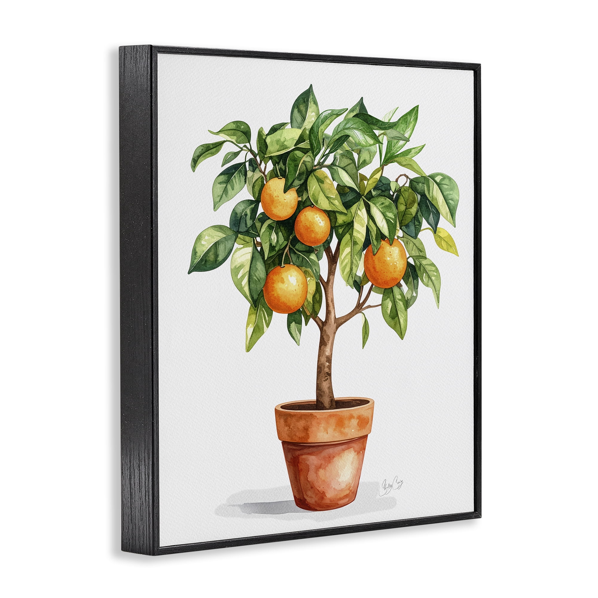 Stupell Industries Potted Orange Tree Black Framed Giclee Art, design by Shelly Craig