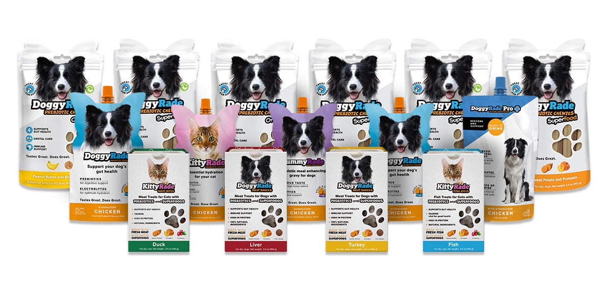 DoggyRade Prebiotic Drink for Dogs/Healthy/Electrolytes, Amino Acids & Nutrients/Low-Calorie & Low-Fat/10 Pack (10 x 8.4 fl oz)