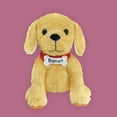 thumbnail image 4 of Biscuit the Little Yellow Puppy 10" Plush, 4 of 5