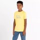 thumbnail image 5 of Dare 2B - Camiseta Trailblazer Impreso para Niños/Niñas (Amarillo Eléctrico), 5 of 5