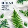 thumbnail image 3 of Downy Infusions Refresh, Birch Water, 48 Loads Liquid Fabric Softener, 32 fl oz, 3 of 9