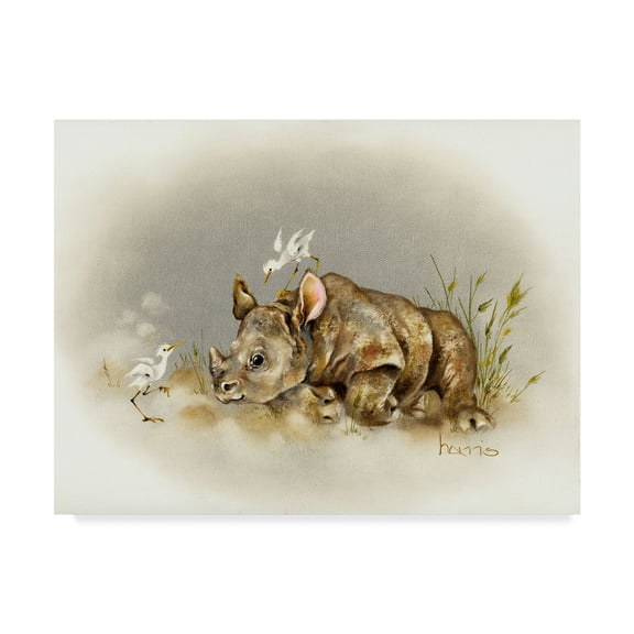 Trademark Fine Art 'Rhino Baby' Canvas Art by Peggy Harris