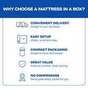 Sealy Essentials 10” Medium Queen Gel Memory Foam Mattress-in-a-Box, Adult
