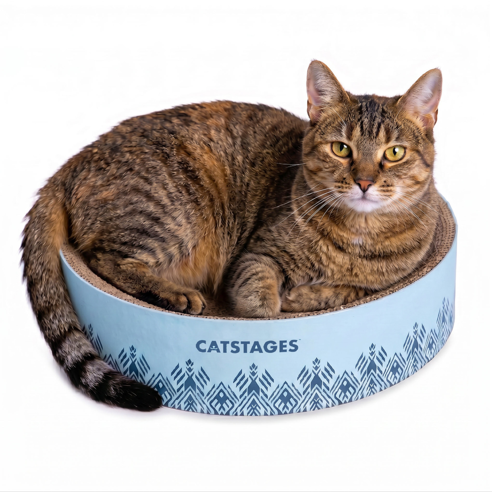 Catstages Scratch & Snuggle Cat Scratcher Bowl, Blue, Up to 10 lbs