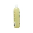 thumbnail image 5 of Lekair Cholesterol Rejuvenating Shampoo for All Hair Types, Nourish & Repair, 16 fl.oz - 2 Pack, 5 of 5