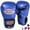Blue, variant on Kids Boxing Gloves - Youth Training Gloves for Kickboxing, MMA - Beginners' Heavy Bag Gloves - Home Gym Training & Sparring