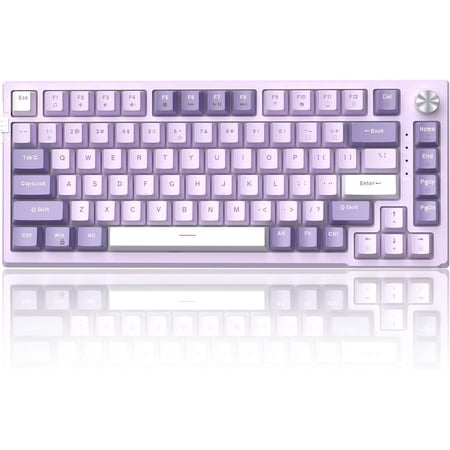 SKY81 75% Mechanical Gaming Keyboard Gasket Hot Swappable Wired Custom Creamy Keyboard with 5-Layer Sound Dampening Knob Control RGB Backlit NKRO for Win/Mac (Violet Violet Switch)