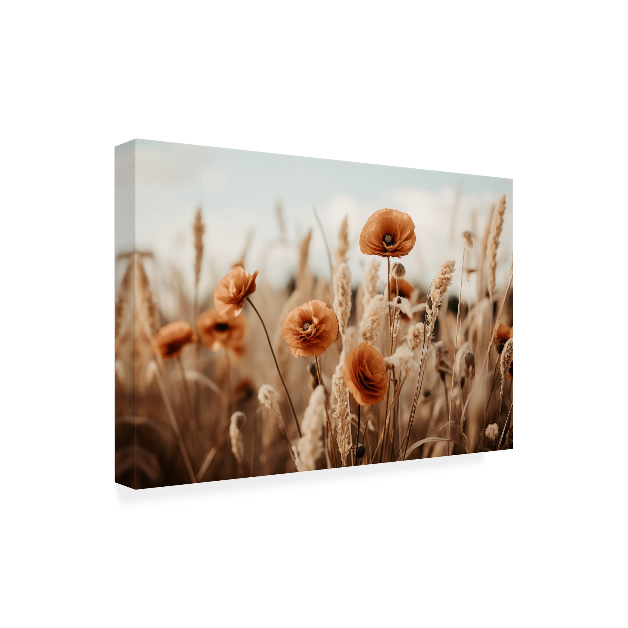 Trademark Fine Art Treechild Orange Poppy Field Canvas Wall Art