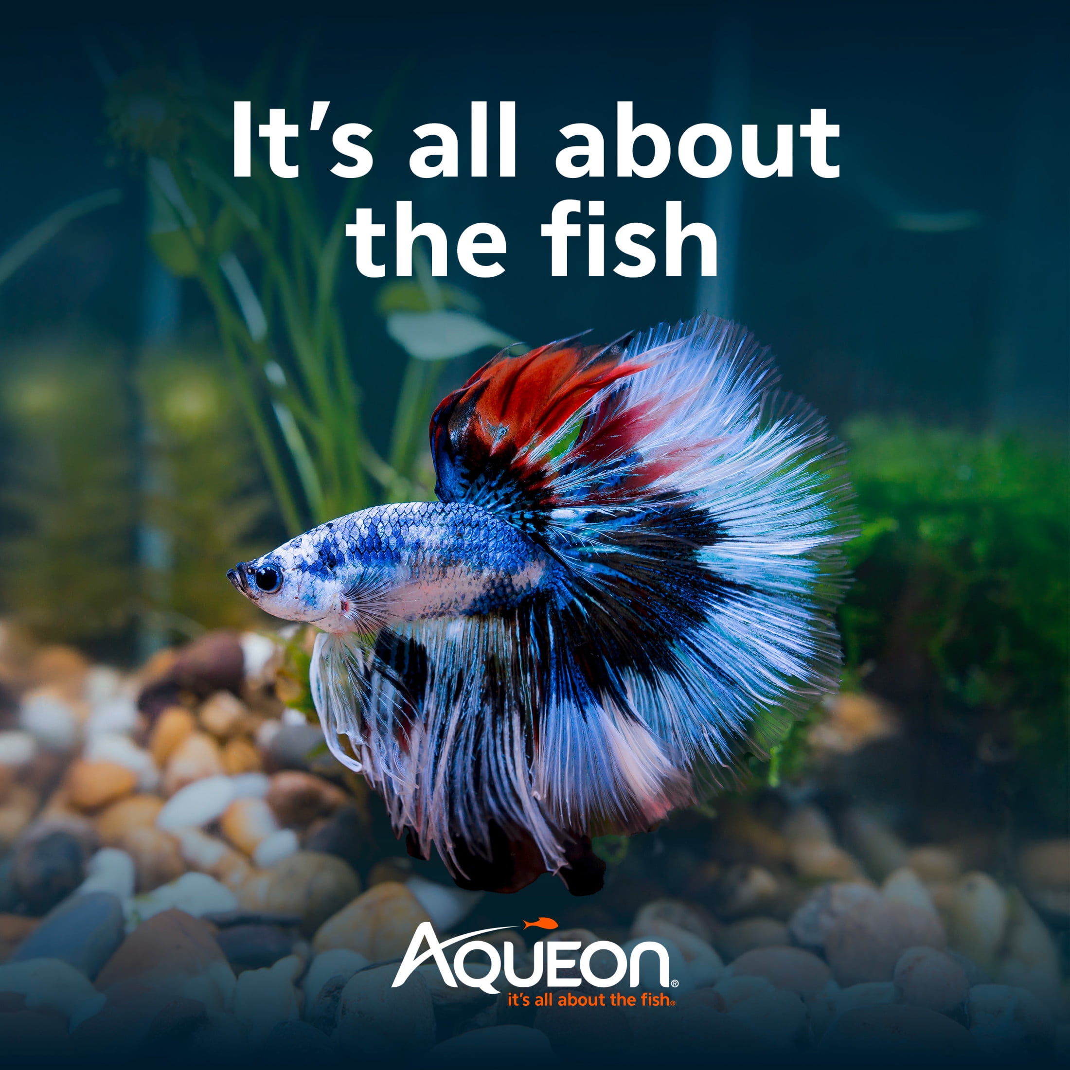 Aqueon LED MiniBow Kit with SmartClean Technology Black 5 Gallon Aquarium Starter Kit
