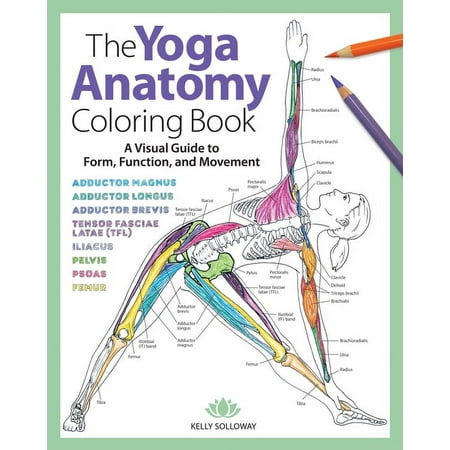 Yoga Anatomy Coloring Book: A Visual Guide to Form, Function, and Movement (Paperback)