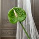 thumbnail image 4 of Flor de imitación de anturio,grulla de fuego,palmera artificial,arreglo floral para el salón de bodas,vegetación para el hogar,flores artificiales decorativas, 4 of 6