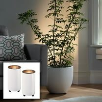 Pro Track Set of 2 Can Uplighting Indoor Accent Spot-Lights Plug-In Floor Plant Home Decorative Art Desk White Finish 6 1/2" High