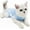 Blue, variant on Breathable Cat Onesie for Cats After Surgery Spay Neuter, Cat Recovery Suit for Abdominal Wounds or Skin Diseases, Anti Licking Cat Cone Alternative, Professional Pet Surgery Recovery Shirt