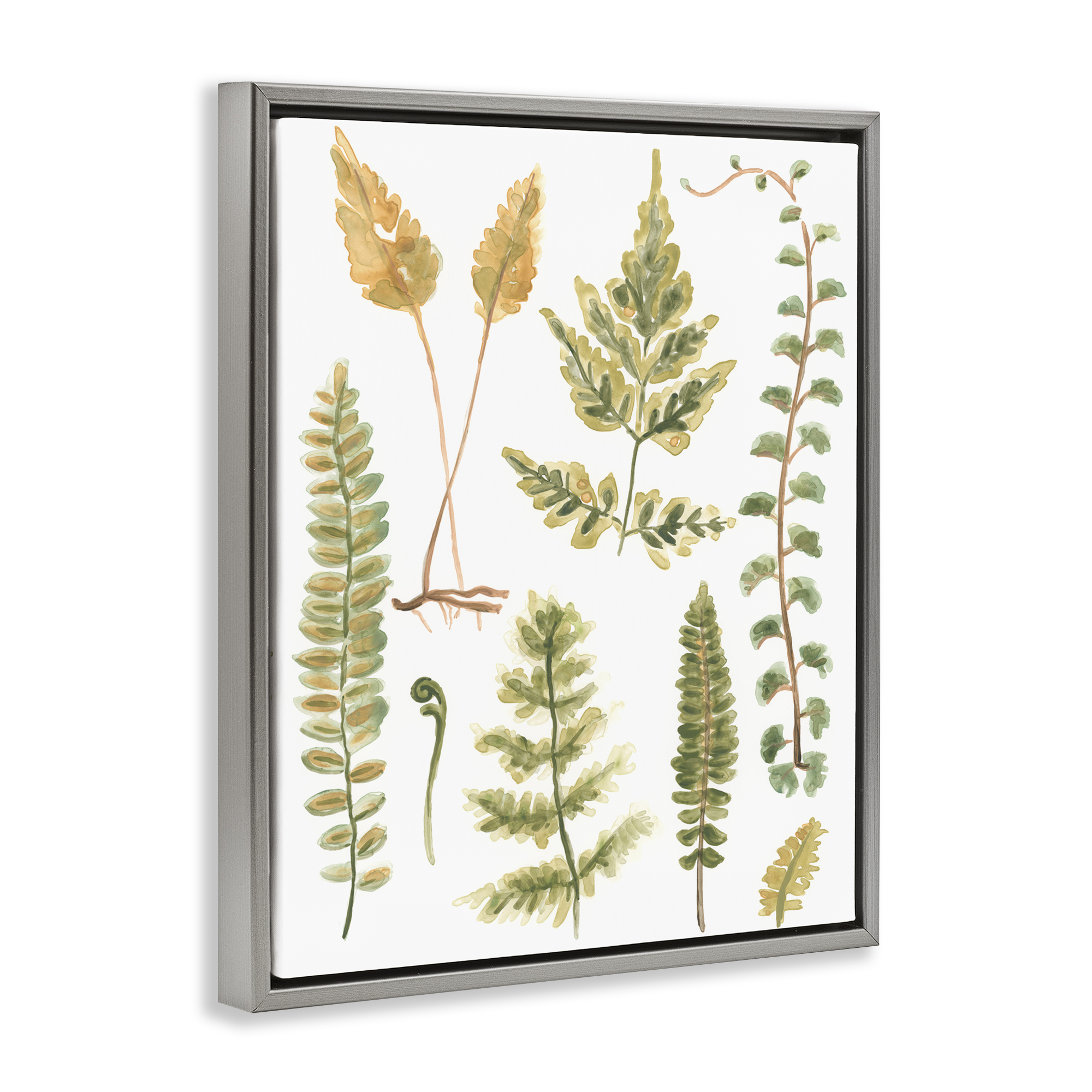 Stupell Industries Varied Fern Leaves Botanical & Floral Painting Gray Floater Framed Art Print Wall Art, 25 x 31