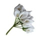 thumbnail image 5 of EeaseMX 12 mini lirios artificiales de cala para novia, boda, decoración de fiesta, ramo de flores de PE de tacto real (blanco), 5 of 8