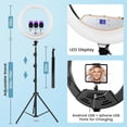 thumbnail image 4 of SHIQI-22" Ring Light with 75" Tripod/LED Display/2 USB Ports, 2600K-6500K Dimmable LED Light, Tripod Stand, Remote Controller,for ipad,Camera,Smartphone,TikTok Video Recording, Live Streaming, 4 of 4