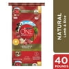 Purina ONE SmartBlend Adult Digestion Support Natural Lamb and Rice Recipe Dry Dog Food, 40 lb. Bag