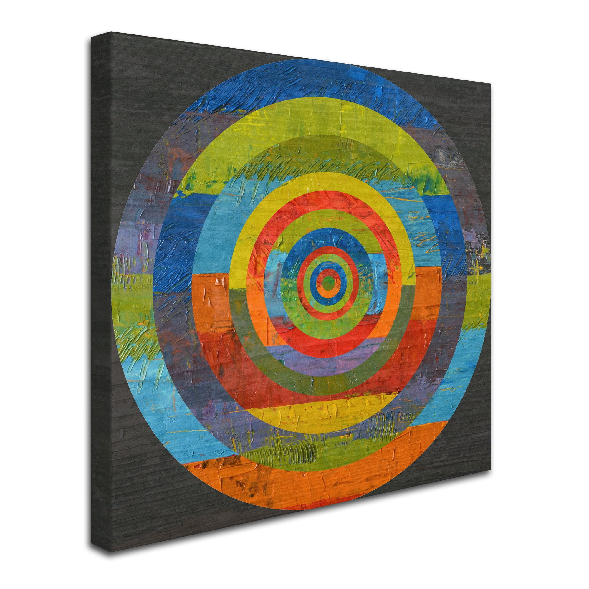 Trademark Fine Art "Full Circle" Canvas Art by Michelle Calkins