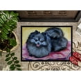 thumbnail image 3 of Carolines Treasures 7503MAT Tapis Intérieur Extérieur 18 x 27 Po. Pomeranian, 3 of 4