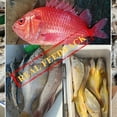 thumbnail image 4 of Peggybuy vers de Sable Secs Leurres de Pêche Réalistes vers de Mer Artificiels, 4 of 6