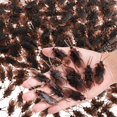 thumbnail image 1 of Cucarachas falsas Jucoan, paquete de 300 cucarachas realistas de plástico, 1 of 5