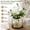 Vase+greenery+light+hydrangea, variant on Rustic Farmhouse Table Centerpiece with Artificial Eucalyptus & Fairy Lights, Glass Vase in Metal Lantern Frame, Battery Operated Ambient Decor for Home and Kitchen, 13.4" Tall