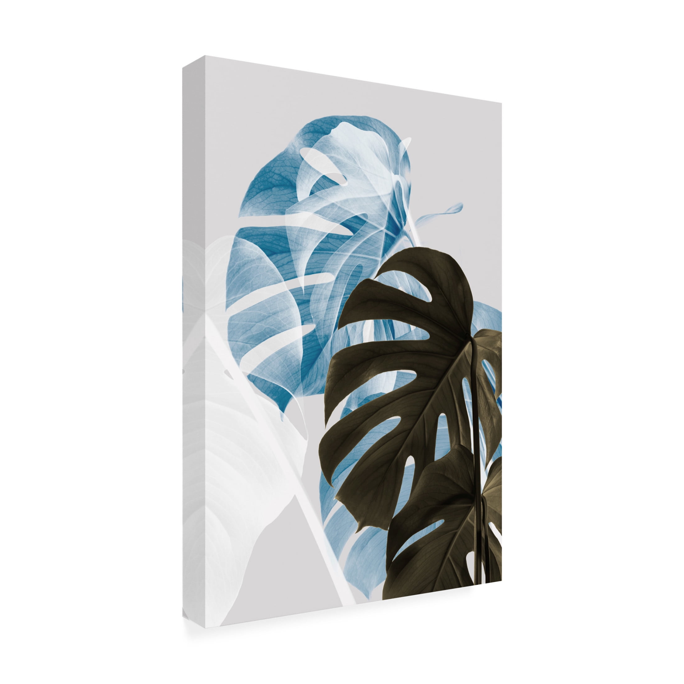 Canvas Wall Art - Pictufy Studio Iii 'Monstera Creative 02' Wall Art for Living Room, Bedroom, or Office D?cor by Trademark Fine Art - 22 x 32 Inches