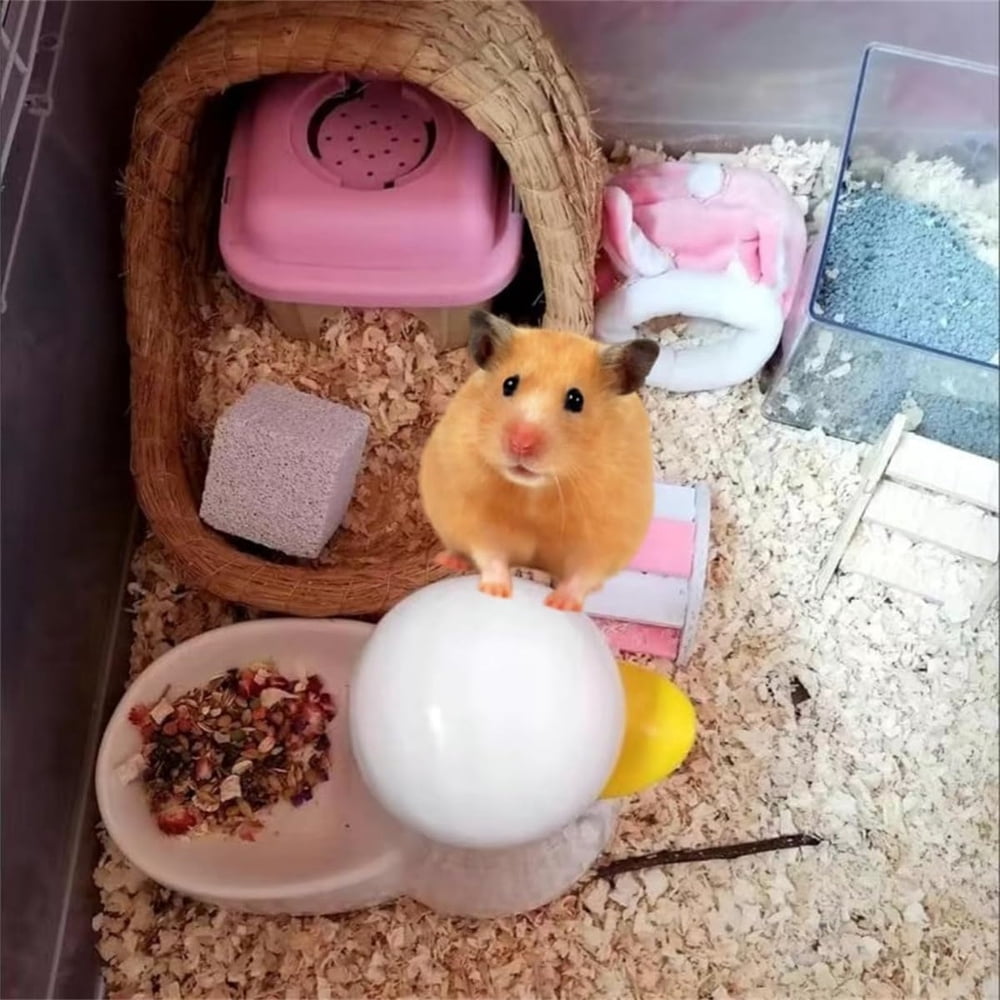 Triani 10Pcs Hamster Chew Toy Lava Square Stone Teeth Grinding Toys 1.78" Small Animal Lava Bites for Hamsters Chinchillas and Parrot