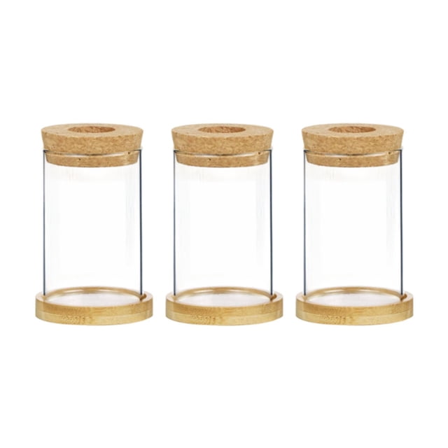 3 jarrones de vidrio, macetas, plantas hidropónicas, frascos decorativos de propagación, plantas marrón oscuro