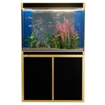 Aqua Dream 100 Gallon All-in-One Aquarium Kit | Black & Gold Trim | Ultra-Clear Tempered Glass Tank, Stand, 920 GPH Sump & Tri-Color LED