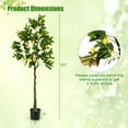 thumbnail image 3 of Costway 2 PCS 5.2 FT Tall Artificial Lemon Tree with Lemon Fruits, Cement Pot for Porch, Office, 3 of 10