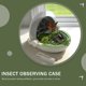 thumbnail image 2 of 1 Set Insect Observe Box Indoor Silkworm Container Insect Observing Case Silkworm Raising Holder, 2 of 2