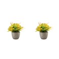 thumbnail image 4 of Decodeary Green Eco-friendly Artificial Money Tree In Pot Long-lasting Durability Realistic Appearance orange rose 2Set, 4 of 6