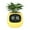 Yellow, variant on Flowerpots with Dish Ceramic, Smart Flowerpots with Artificial Intelligence Time Temperature Display and Numerous Expressive Animatio Ns Based on The Environment, Flower Pots