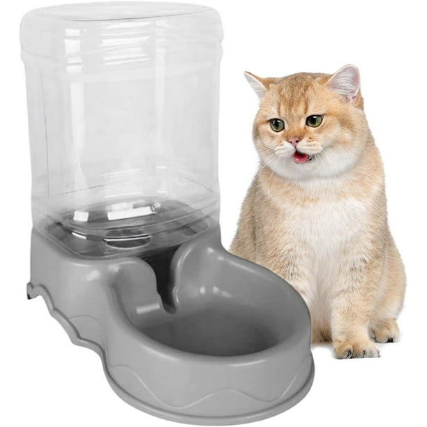 Cat water top bowl walmart