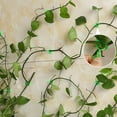 thumbnail image 1 of pitrice Plastic Plant Clips Fixed Buckles Self Adhesive Vine Tied Fastener M, 1 of 8