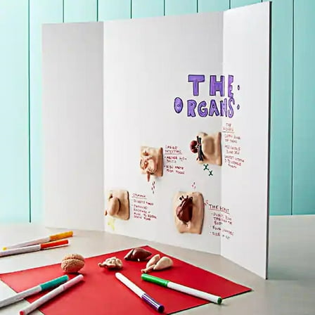 4 Pcs Tri-fold Poster Boards 48 x 36 inches, Premium Corrugated Presentation Boards with Double Sided Tapes,Display Boards for School Project,Exhibitions, Business Presentation