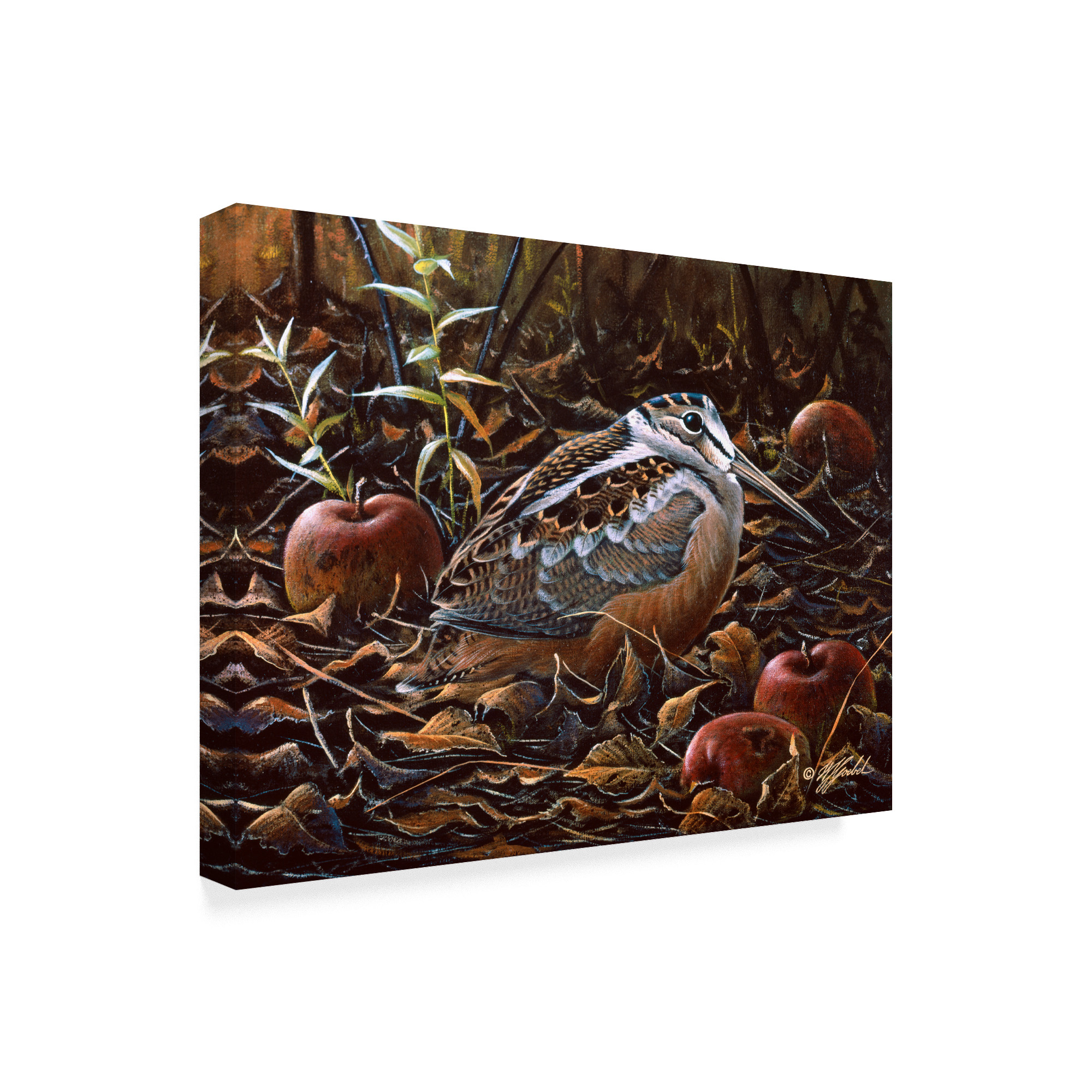 Trademark Fine Art 'Orchard Woodcock' Canvas Art by Wilhelm Goebel